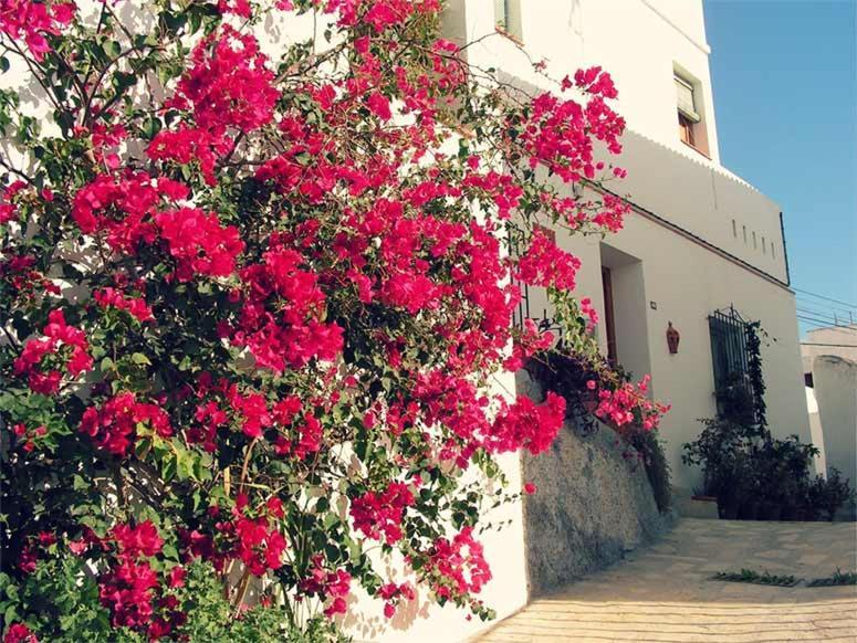 Jardines Del Mar Salobrena Apartment Exterior photo